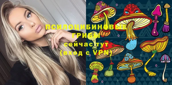 ECSTASY Вяземский