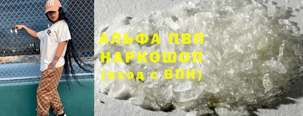 ECSTASY Вяземский